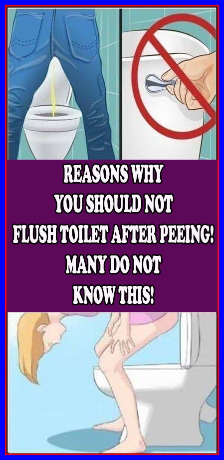 Reasons Why You Should Flush Toilet After Peeing May Do Not Know This